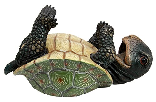 Ebros Drunken Coastal Sea Turtle Tortoise Wine Bottle Holder Caddy Figurine As Home Kitchen Wine Cellar Decorative Storage Organizer Solution Of Wild Aquatic Animals Turtles Terrapins Tortoises Decor