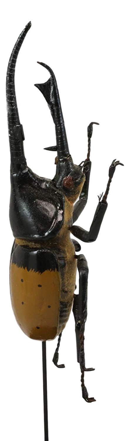 Ebros Exotic Entomology Beetle Faux Taxidermy Sculpture In Victorian Glass Dome Cloche Display Educational 3D Model Or As Mantelpiece Shelf Table Decoration Museum Gallery Figurine (Hercules)
