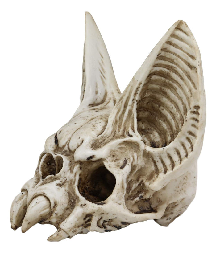 Ebros Fantasy Demon Vampire Fangs Bat Half Skull Statue Decor 7" High 3D Skulls Figurine Decorative Macabre Halloween Day Of The Dead Sculpture