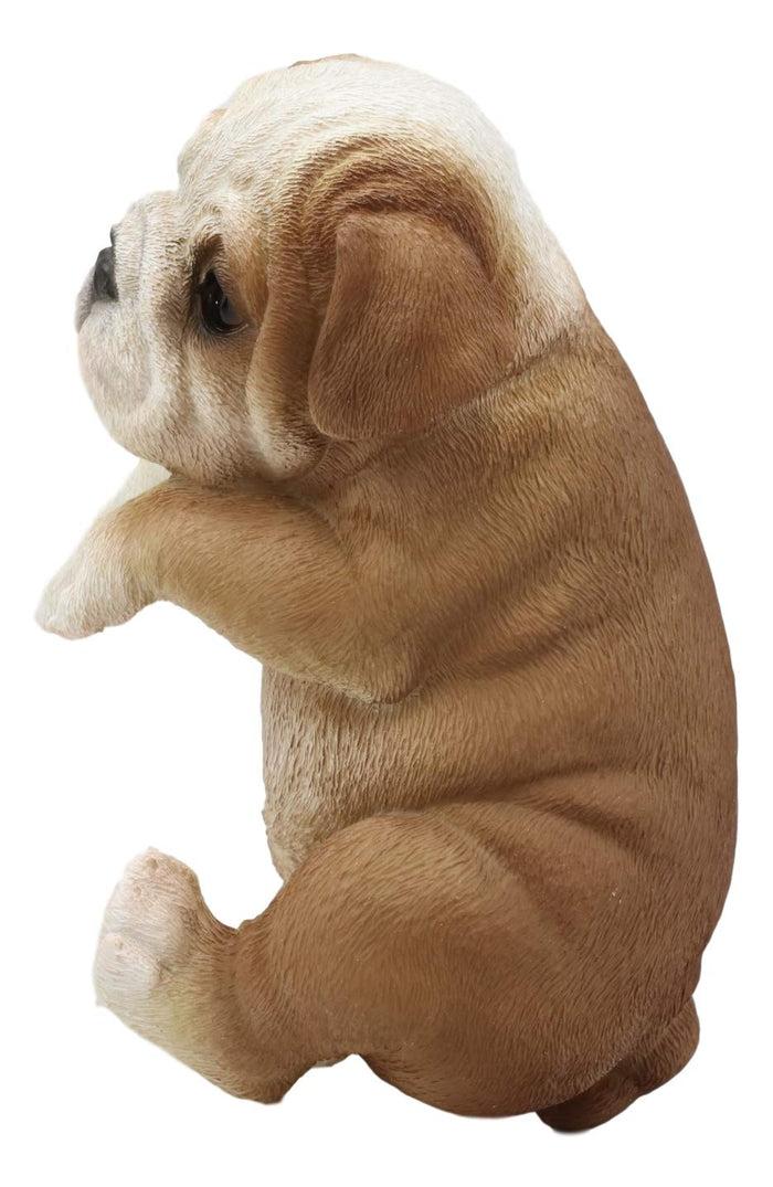 Ebros Garden Pot Hanging Bulldog Statue 7.5" Tall With Glass Eyes Pet Figurine