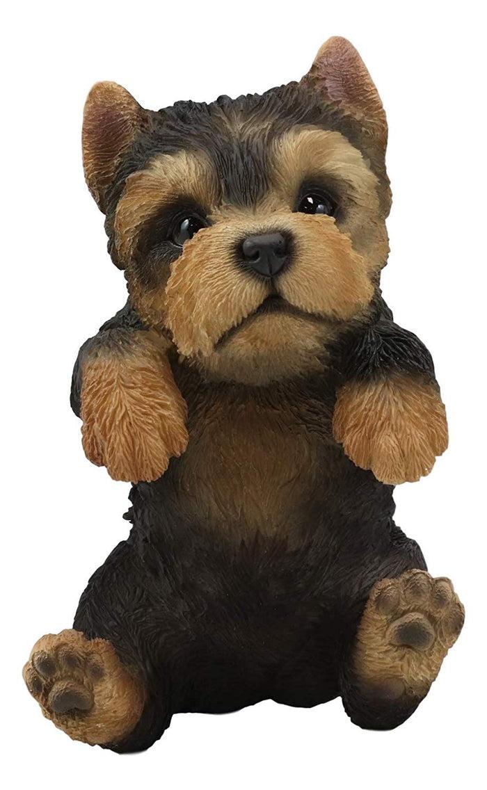 Ebros Garden Pot Hanging Yorkshire Terrier Statue 8" Tall With Glass Eyes Yorkie