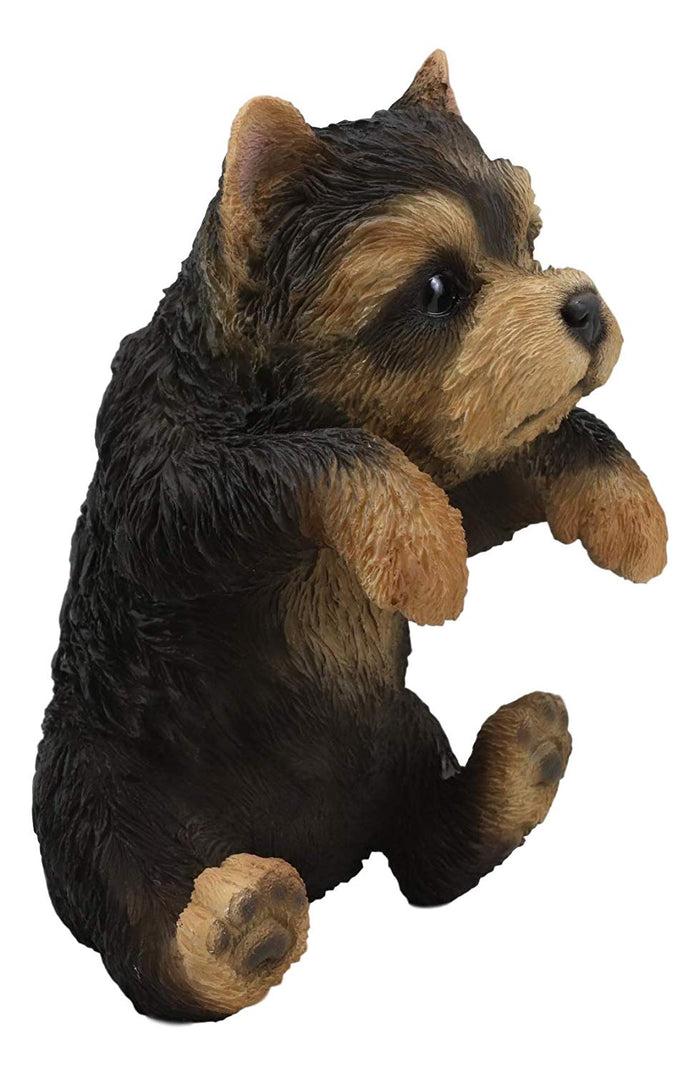Ebros Garden Pot Hanging Yorkshire Terrier Statue 8" Tall With Glass Eyes Yorkie
