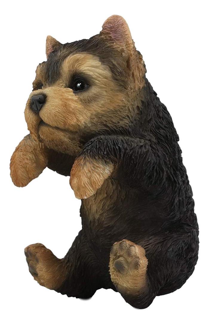 Ebros Garden Pot Hanging Yorkshire Terrier Statue 8" Tall With Glass Eyes Yorkie
