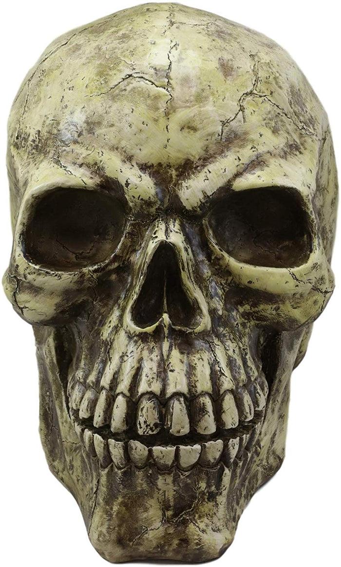 Ebros Giant Oversized Evil Sinister Skull Statue 17"L Halloween Ossuary Macabre Decor