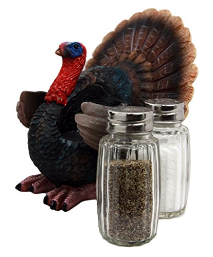 Ebros Gift Autumn Season Thanksgiving Turkey Hen Salt Pepper Shakers Holder Figurine Set 6" H