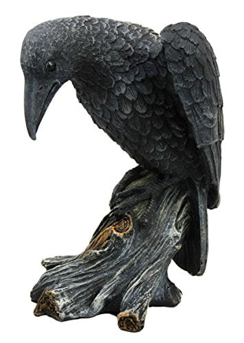 Ebros Gift Dark Death Raven Crow Stalking Prey On Cliff Top Scavenger Bird Figurine 7.25"H