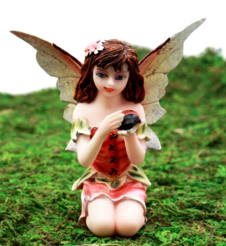 Ebros Gift Enchanted Fairy Garden Kneeling Fairy Holding Ladybug Figurine 3.25" H Miniature Do It Yourself Ideas For Your Home Enchanted Fairy Garden