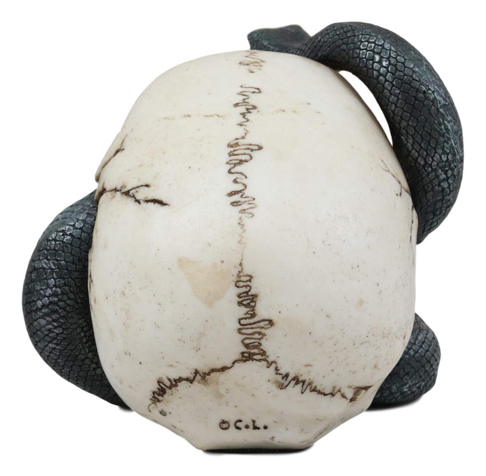 Ebros Gift Large Hissing Black Mamba Venom Snake Skull With Bloodshot Eyes Figurine 7" L Gothic Macabre Serpent Skeleton Cranium 3D Statue Halloween Spooky Decor Day Of The Dead Graveyard Sculpture