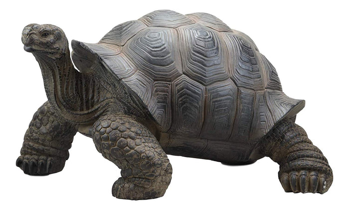 Ebros Gift Realistic Lifelike Galapagos Giant Tortoise Statue 17.25" Wide Marine Reptile Tortoises Garden Greeter Home And Patio Gallery Quality Sculpture