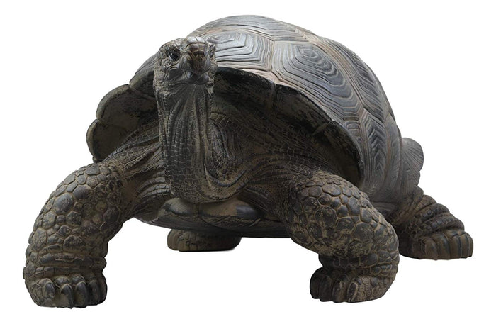 Ebros Gift Realistic Lifelike Galapagos Giant Tortoise Statue 17.25" Wide Marine Reptile Tortoises Garden Greeter Home And Patio Gallery Quality Sculpture