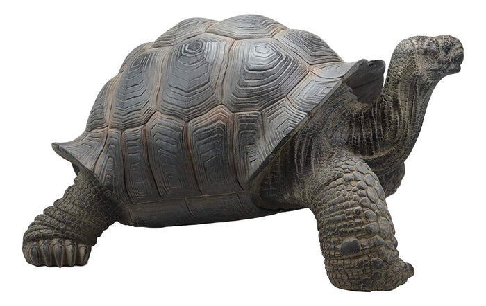 Ebros Gift Realistic Lifelike Galapagos Giant Tortoise Statue 17.25" Wide Marine Reptile Tortoises Garden Greeter Home And Patio Gallery Quality Sculpture