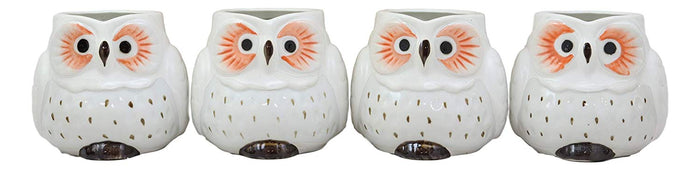 Ebros Gift Whimsical Tundra Forest Big Eyed White Snow Owl Ceramic 11oz Drinking Mugs Set Of 4 As Kitchen Dining Home Decor Of Owls Owlet Nocturnal Bird Novelty Mug Cups For Coffee Tea Milk Beverage