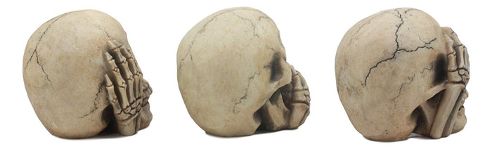 Ebros Gothic Alchemy See Hear Speak No Evil Grinning Skulls Statue Set Of Three 4"High Halloween Decor Ossuary Graveyard Figurines