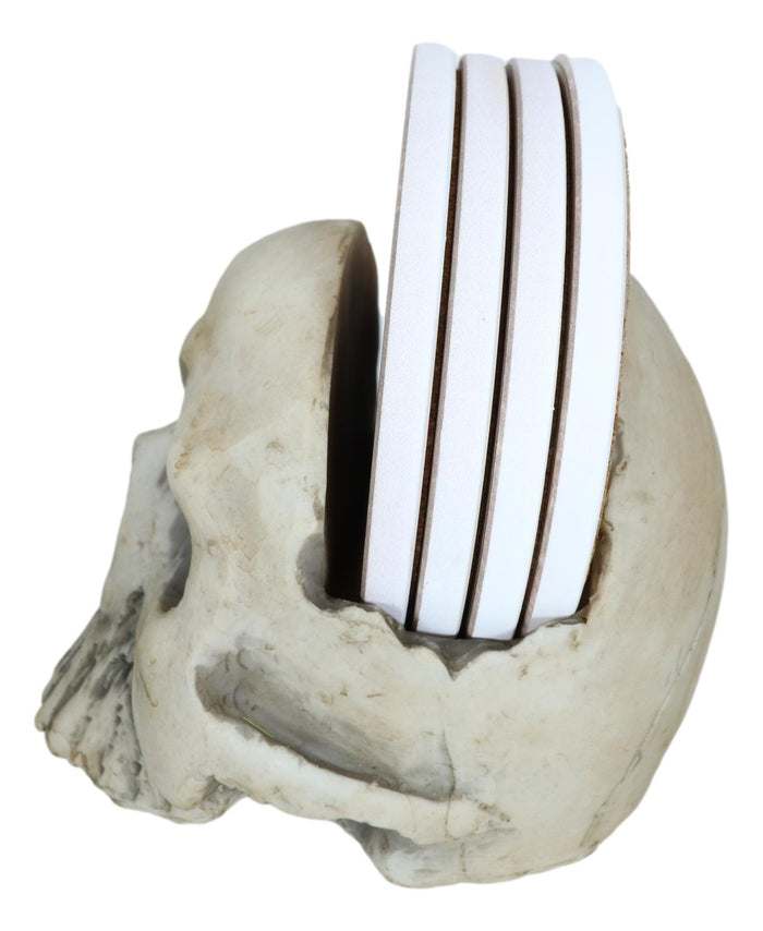 Ebros Gothic Bone Cream Homosapien Half Skull Base Holder With 4 Coasters Set