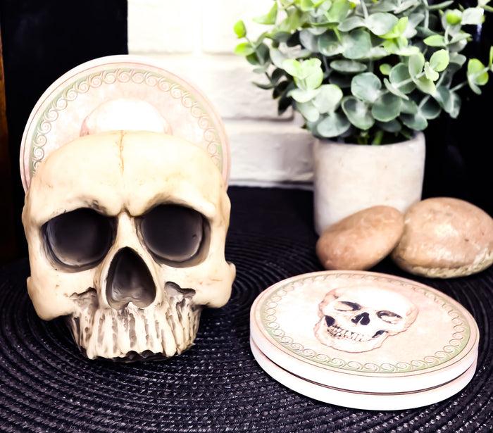 Ebros Gothic Bone Cream Homosapien Half Skull Base Holder With 4 Coasters Set