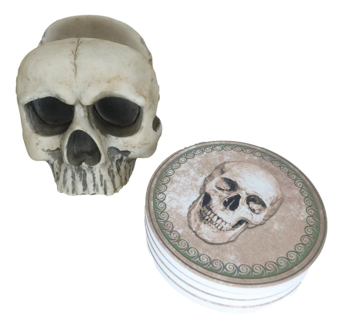 Ebros Gothic Bone Cream Homosapien Half Skull Base Holder With 4 Coasters Set