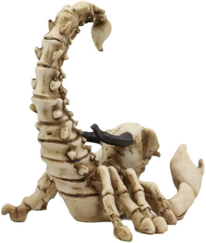 Ebros Gothic Giant Scorpion Skeleton With Horned Demon Skull Statue 7.25" Tall