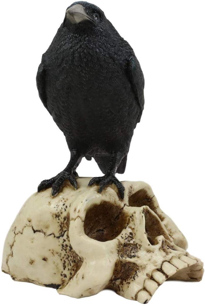 Ebros Gothic Raven Perching On Skull Statue 7.25" High Crow Scavenger Figurine