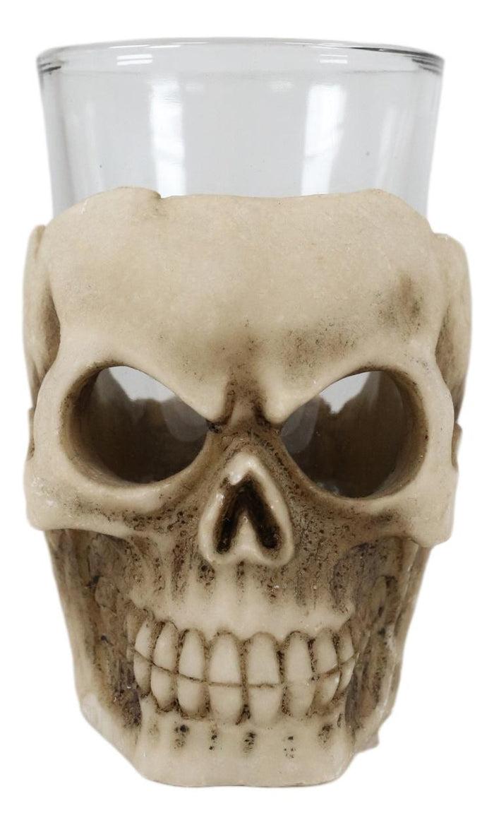 Ebros Grinning Skull Shot Glass Set Of 6 Altar Of Skulls Skeleton Ossuary Skull