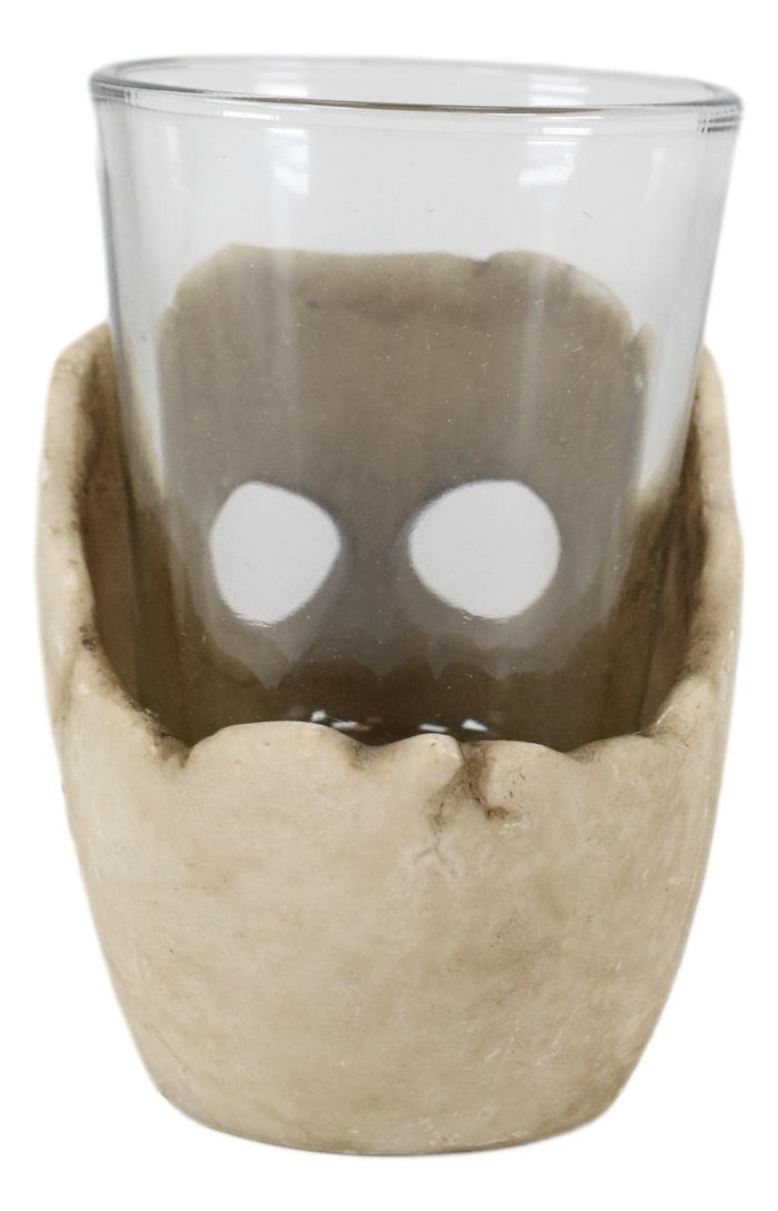 Ebros Grinning Skull Shot Glass Set Of 6 Altar Of Skulls Skeleton Ossuary Skull