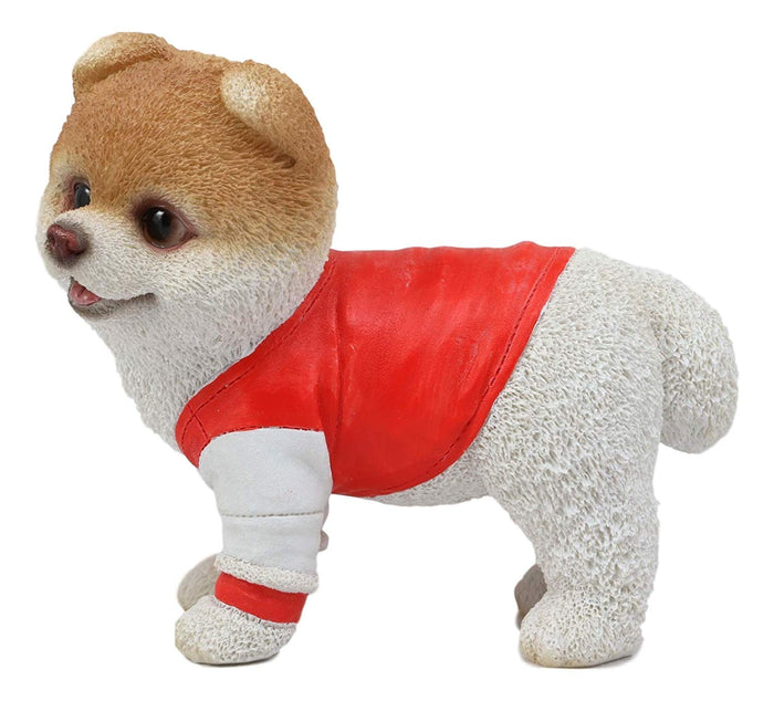 Ebros Gym Bro Boo The World's Cutest Pomeranian Dog Statue Pet Pal Dogs Collectible Breed Pomeranians Memorial Collectible Resin Decor Figurine With Glass Eyes Official Licensed Sculpture