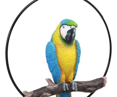 Ebros Hanging Blue And Gold Macaw Perching On Branch In Metal Round Ring 13.5"H
