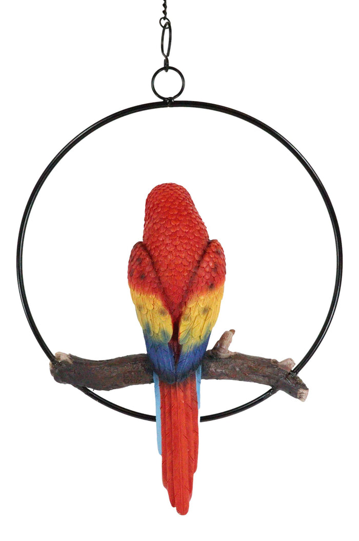 Ebros Hanging Scarlet Macaw Parrot Perching On Branch In Metal Round Ring Figurine 13.5" H