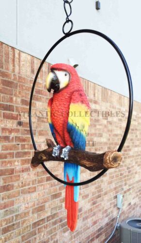 Ebros Hanging Scarlet Macaw Parrot Perching On Branch In Metal Round Ring Figurine 13.5" H