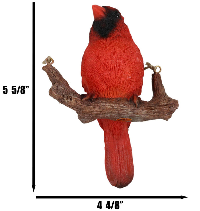 Ebros Home Garden Hanging Northern Red Cardinal Bird Perching On Branch Figurine