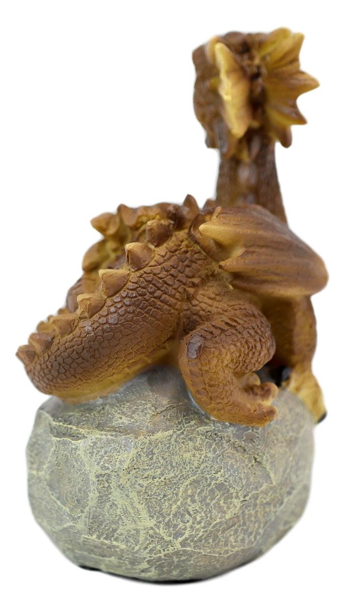 Ebros 'Home Is Where My Dragon Is' Baby Dragon On Rock Resin Figurine 7.5" H