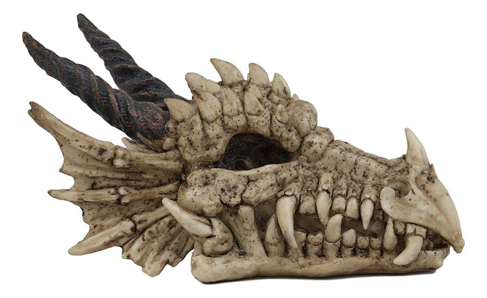 Ebros Jurassic Beowulf Elder Dragon Head Skull Realistic Fossil Statue 7.75" L