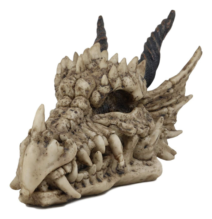 Ebros Jurassic Beowulf Elder Dragon Head Skull Realistic Fossil Statue 7.75" L