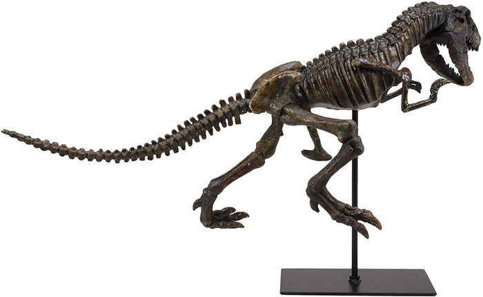Ebros Jurassic Dinosaur Tyrannosaurus Rex Fossil Skeleton Statue On Museum Mount 24"L