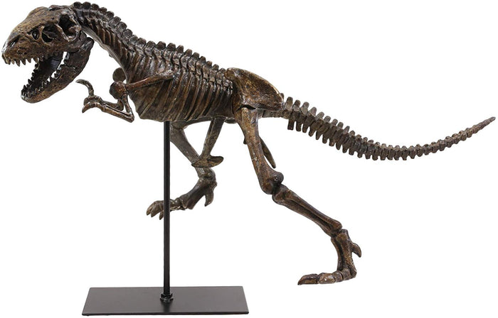 Ebros Jurassic Dinosaur Tyrannosaurus Rex Fossil Skeleton Statue On Museum Mount 24"L
