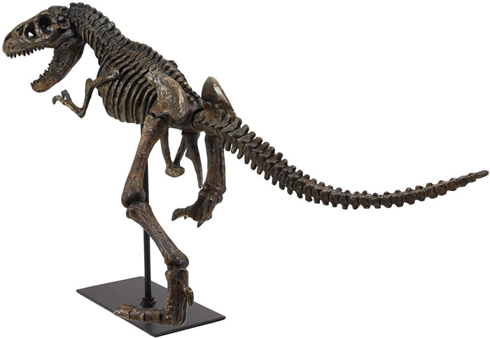 Ebros Jurassic Dinosaur Tyrannosaurus Rex Fossil Skeleton Statue On Museum Mount 24"L