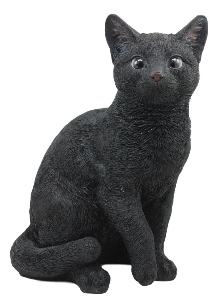 Ebros Large Lifelike Pawing Mystical Black Cat Statue 11.75"H With Glass Eyes
