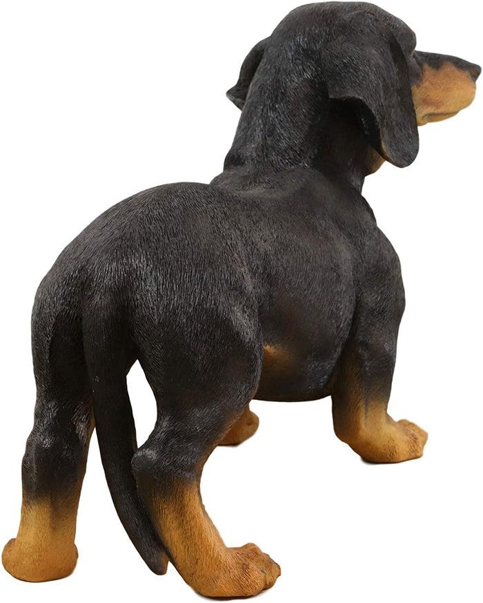 Ebros Large Lifelike Realistic Black And Tan Dachshund Dog Statue 19.5" Long