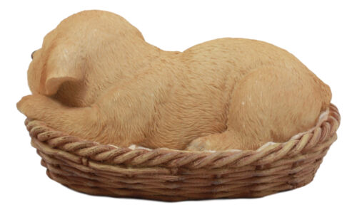 Ebros Lifelike Adorable Labrador Retriever Dog Sleeping In Wicker Basket Statue 6.25" Long Realistic Pet Pal Dog Breed Collectible Resin Decor Figurine