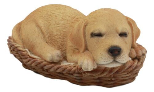 Ebros Lifelike Adorable Labrador Retriever Dog Sleeping In Wicker Basket Statue 6.25" Long Realistic Pet Pal Dog Breed Collectible Resin Decor Figurine