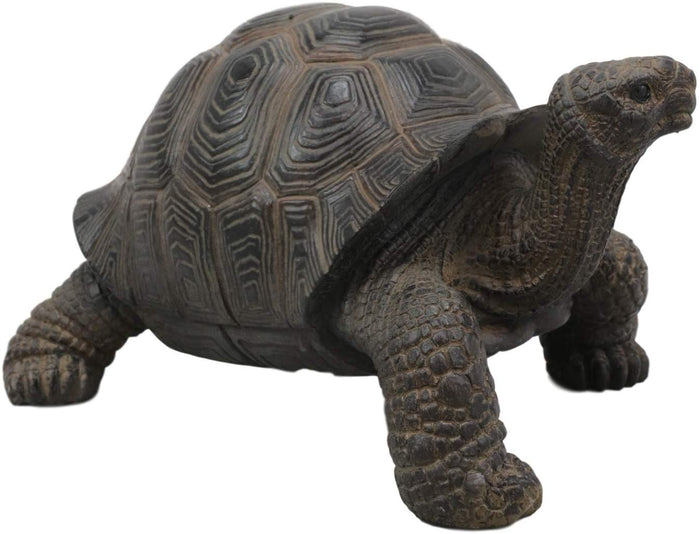 Ebros Lifelike Galapagos Tortoise Statue 6.5" Wide Lucky Zen Turtle Figurine