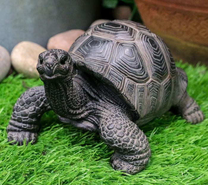 Ebros Lifelike Galapagos Tortoise Statue 6.5" Wide Lucky Zen Turtle Figurine Ebros Lifelike Galapagos Tortoise Statue 6.5" Wide Lucky Zen Turtle Figurine