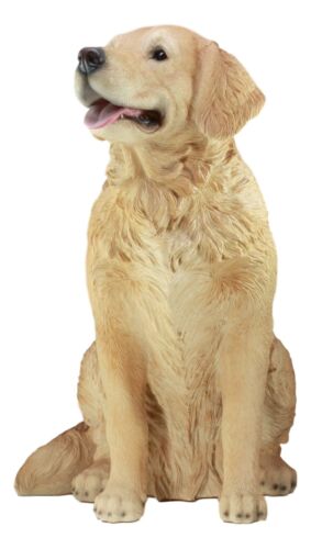 Ebros Lifelike Realistic Buddy Golden Retriever Statue 20.5" Tall Fine Pedigree Dog Breed Collectible Decor With Glass Eyes