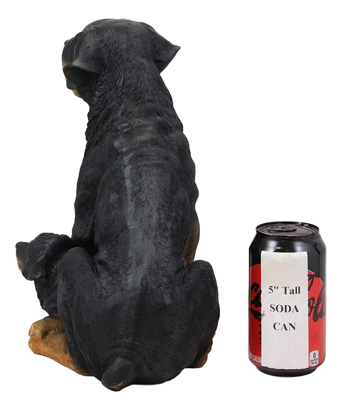 Ebros Lifelike Realistic Sitting Rottie Rottweiler Dog Statue 11.5" Wide Fine Pedigree Butcher's Dogs Breed Gallery Quality Collectible Decor With Glass Eyes Figurine