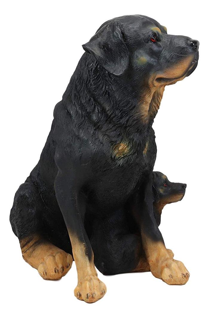 Ebros Lifelike Realistic Sitting Rottie Rottweiler Dog Statue 11.5" Wide Fine Pedigree Butcher's Dogs Breed Gallery Quality Collectible Decor With Glass Eyes Figurine