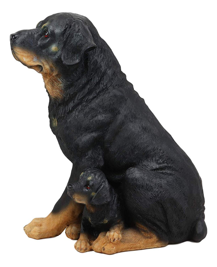 Ebros Lifelike Realistic Sitting Rottie Rottweiler Dog Statue 11.5" Wide Fine Pedigree Butcher's Dogs Breed Gallery Quality Collectible Decor With Glass Eyes Figurine