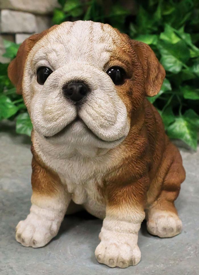 Ebros Lifelike Sitting Adorable Bulldog Puppy Dog Figurine 5"H Pet Pal Puppies