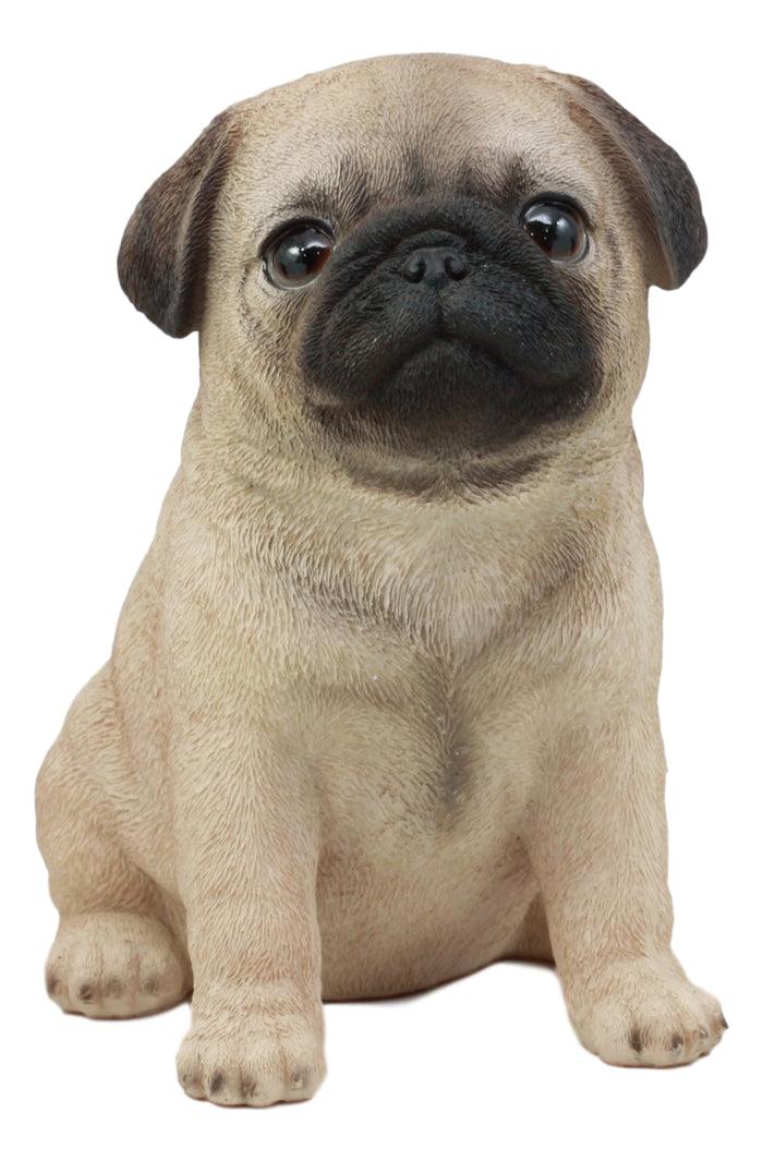 Ebros Lifelike Sitting Pug Dog Statue 6" Tall Pet Pal Figurine With Glass Eyes