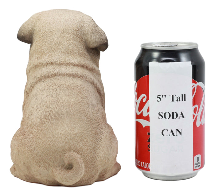 Ebros Lifelike Sitting Pug Dog Statue 6" Tall Pet Pal Figurine With Glass Eyes