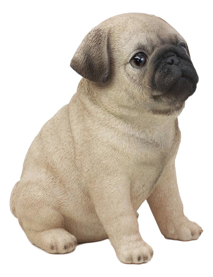 Ebros Lifelike Sitting Pug Dog Statue 6" Tall Pet Pal Figurine With Glass Eyes