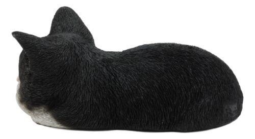 Ebros Lifelike Sleeping Tuxedo Black And White Cat Statue 7" Long Pet Pal Kitten Decor Figurine